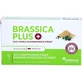 BRASSICA PLUS Capsules 30 Capsules