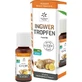 INGWER GINJER forte gotas 20 ml