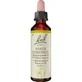 BACHBLÜTEN White Chestnut drops 20 ml