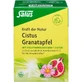 CISTUS GRANATAPFEL Té Poder de la Naturaleza Salus Fbtl. 15 St.