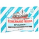 FISHERMANS FRIEND Spearmint without sugar pastilles 25 g