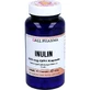 INULIN 420 mg GPH Cápsulas 90 Cápsulas