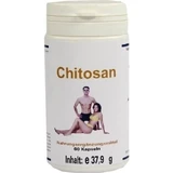 CHITOSAN 500 mg capsules 60 st.