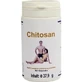 CHITOSAN 500 mg capsule 60 pz.