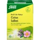 CISTUS SALBEI Kruidenthee Kracht van Natuur Salus Fbtl. 15 St.