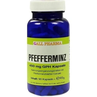 PFEFFERMINZ 450 mg GPH Capsules 90 Capsules