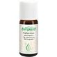 PEPPER MINT OLIE etherische 10 ml