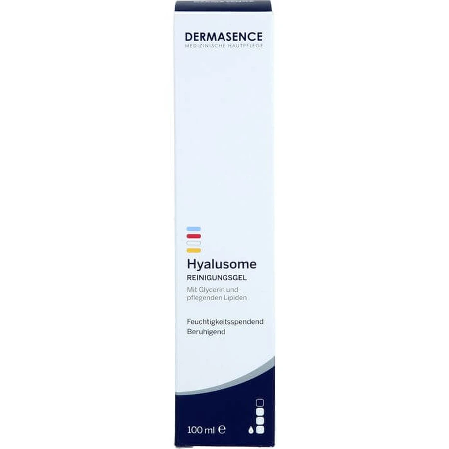 DERMASENCE Hyalusome Cleansing Gel 100 ml