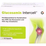 GLUCOSAMIN INTERCELL Capsules 120 Capsules