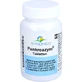 PANKREAZYM Comprimidos 60 St.