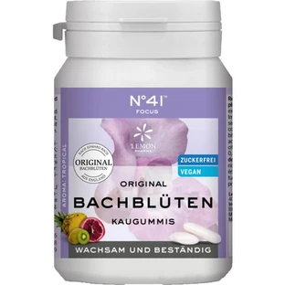 CONCENTRATION chewing-gum selon Dr. Bach 40 pcs.