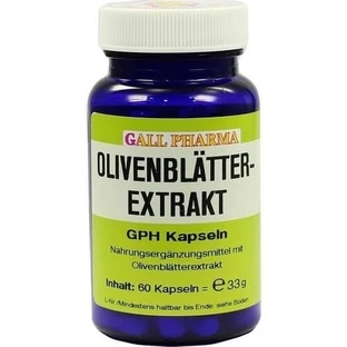 OLIVE LEAVES Extract GPH Capsules 60 Capsules