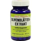 OLIVE LEAVES Extract GPH Capsules 60 Capsules