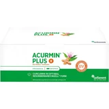 ACURMIN Plus The Micelle Turmeric Soft Capsules 360 Capsules