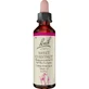 BACHBLÜTEN Sweet Chestnut drops 20 ml