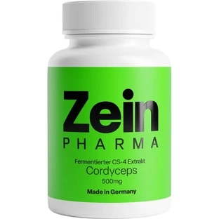 CORDYCEPS CS-4 500 mg capsules 120 pcs.