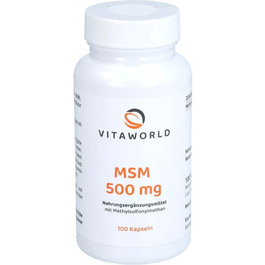 MSM CAPSULES 100 pcs.