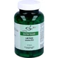 LACTASE 12.000 FCC Capsules 120 Capsules