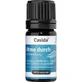 ATME door geurenmelange etherische olie 5 ml