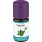 OREGANO OIL Organic Aroma Baldini 5 ml