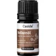 CLOVE OIL Clove essential natural 5 ml