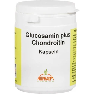 GLUCOSAMIN+CHONDROITIN Capsules 120 Capsules