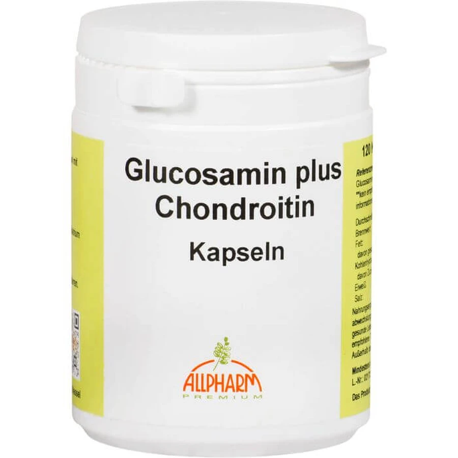 GLUCOSAMIN+CHONDROITIN Capsules 120 Capsules