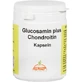 GLUCOSAMINE+CHONDROITINE Capsules 120 Capsules