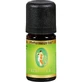 PEPPER MINT biologische etherische olie 5 ml