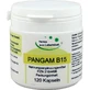 PANGAM Vitamine B15 Capsules 120 Capsules
