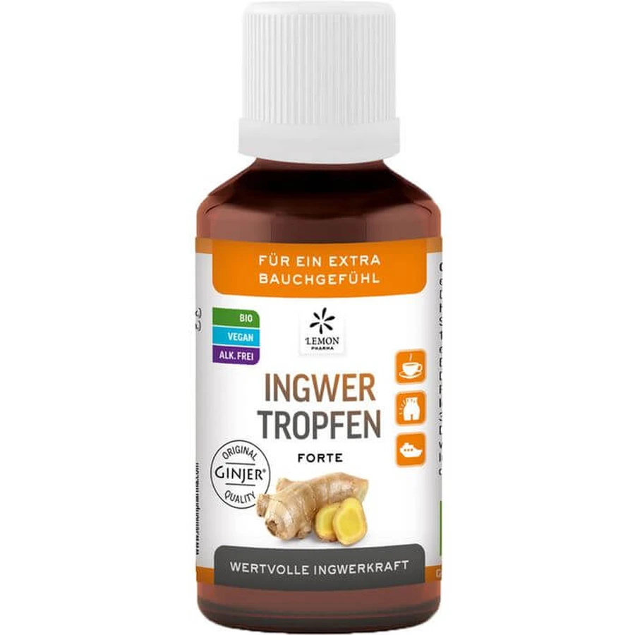 INGWER GINJER forte drops 50 ml