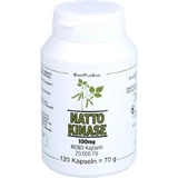 NATTOKINASE 100 mg Mono 20.000 FU Capsules 120 Capsules