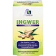 INGWER 500 mg capsules+vitamine B1+C 90 st.