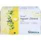 SIDROGA Wellness Ginger-Lemon Tea filtru sac 40 g