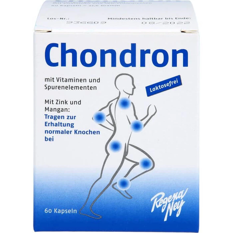 CHONDRON Tablets 60 St.