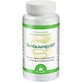 VERDAUUNGSHIT Tabletten Dr.Jacob's 90 St.