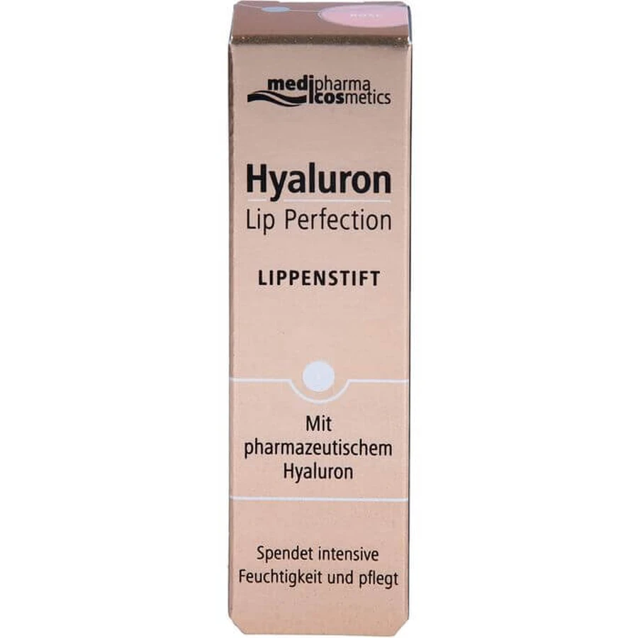 HYALURON LIP Perfection Barra de labios rosa 4 g