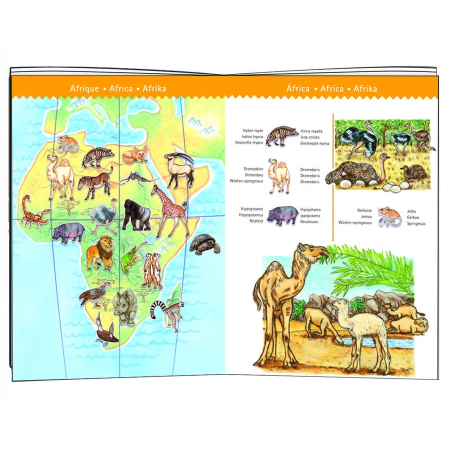 Djeco Animales del mundo puzzle de observación