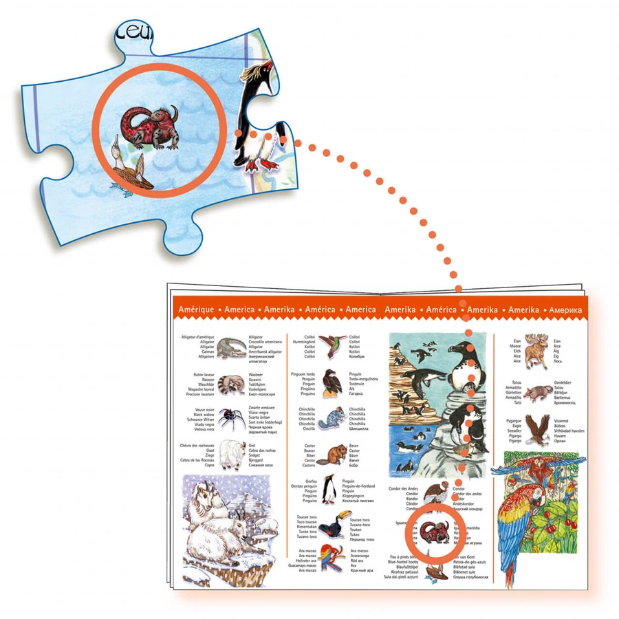Djeco Animales del mundo puzzle de observación