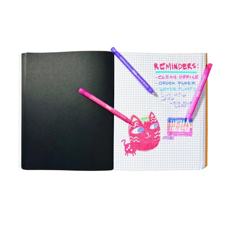 Crayones de limpieza brillantes - ¡No se equivoque! - Juego de 12