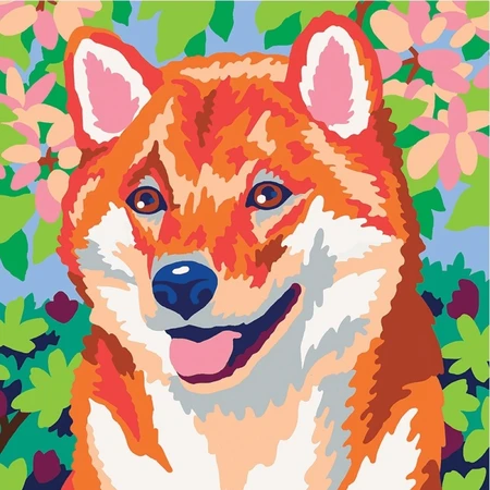 Pintura por números Colorizzy Red Panda&Shiba Panda