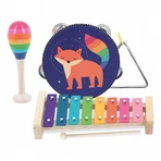 Regenbogen-Instrumentarium