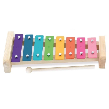 Regenbogen-Instrumentarium