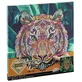 Set creativo con strass, Pintura diamante, Lienzo Tigre, Moxy