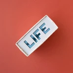 Puzzle Life in the Wild, Londji