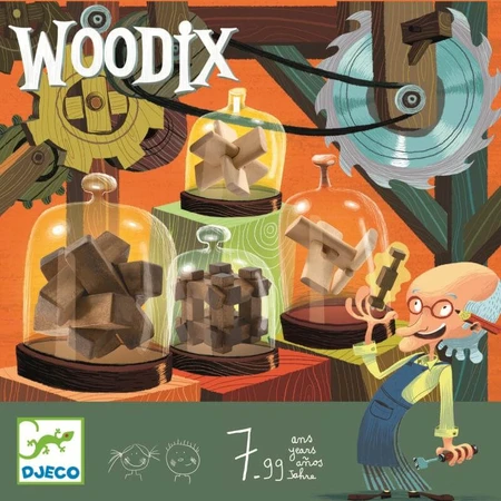 Woodix 6 wooden logic games