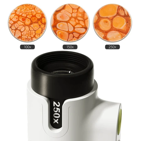 STEM Microscope 250 game, TopBright