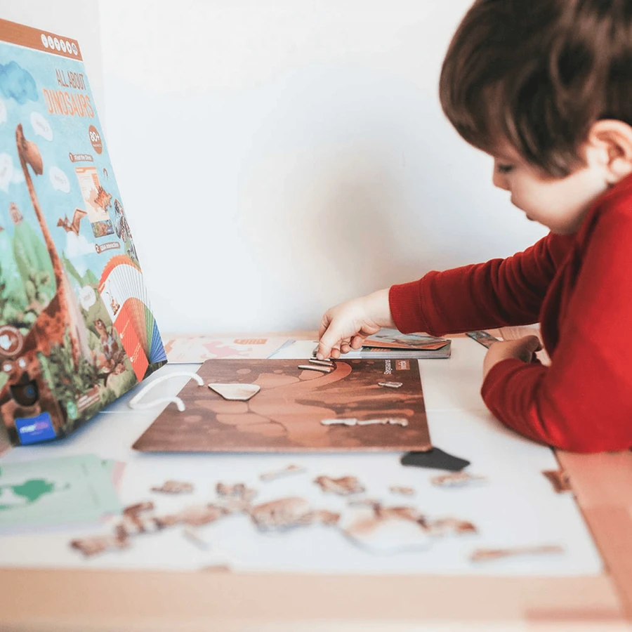 Educational magnetic game - All about Dinosaurs
