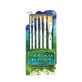 Satz mit 6 Universalpinseln, Chroma Blends