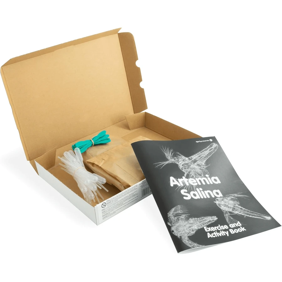 Kit educativo sobre el ciclo vital de Artemia Salina